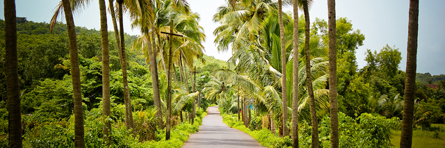 Goa event road