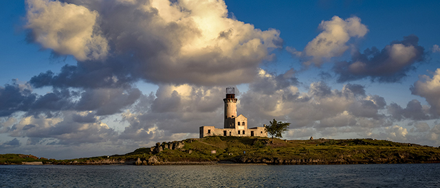 Light house joseph manglaviti website