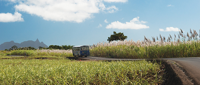 Bus florence maingard website