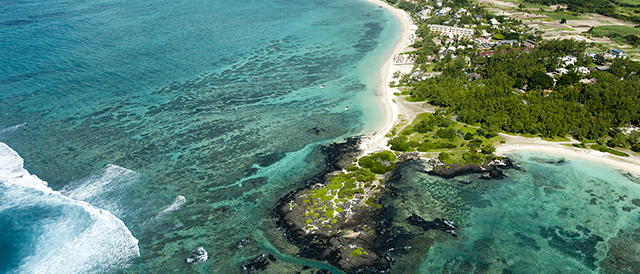 Ariel beach karl ahnee website