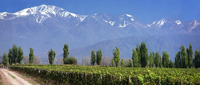 Alta vista montan%c3%8c%c6%92a website