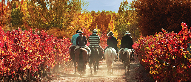 Cabalgando en oto%c3%b1o en mendoza website