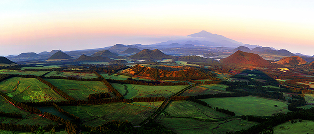5landscape 2 website