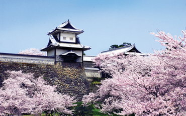 Kanazawa castle in spring fin